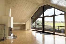 Wohnung in Gutenberg- Wohnzimmer mit Kamin und Zugang zur Loggia