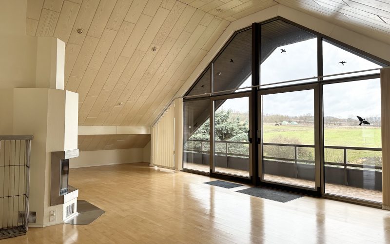 Wohnung in Gutenberg- Wohnzimmer mit Kamin und Zugang zur Loggia