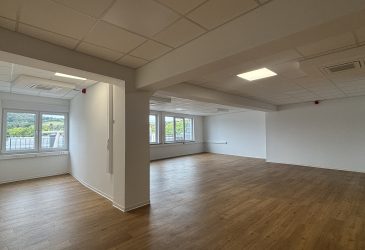 Büro- und Praxisfläche
